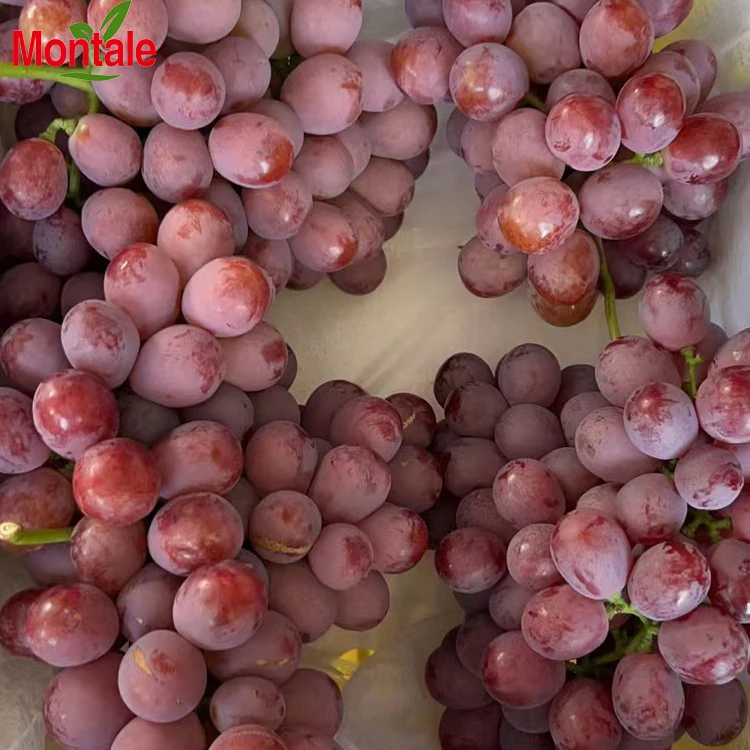 Chinese Factory Price Top Quality Fresh Red Grapes Supply