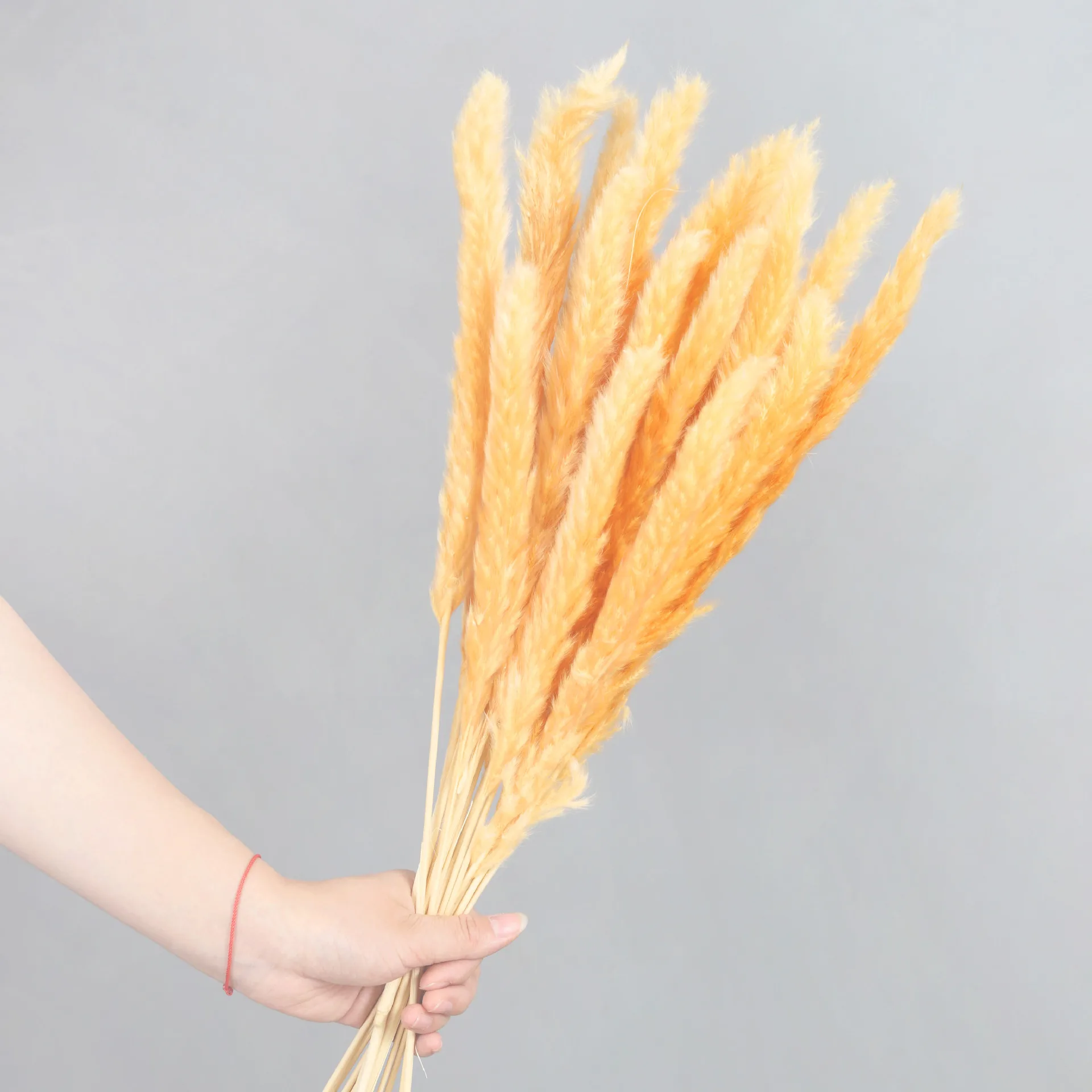 Dried flower customizable Package 45cm  Dried Pampas Grass potpourri dried flowers