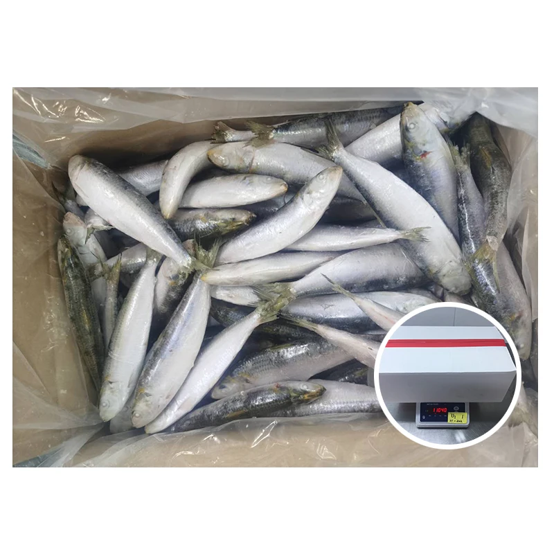 Питательные малые замороженные сардины для наживки