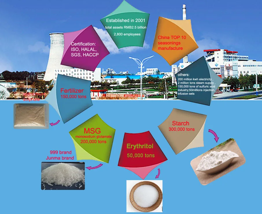 MSG FACTORY instruction.jpg