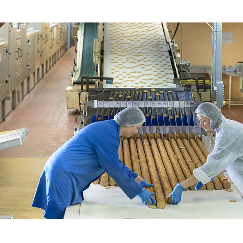 Industrial cracker machine sandwich biscuit machinery ship biscuit forming machine form Shanghai