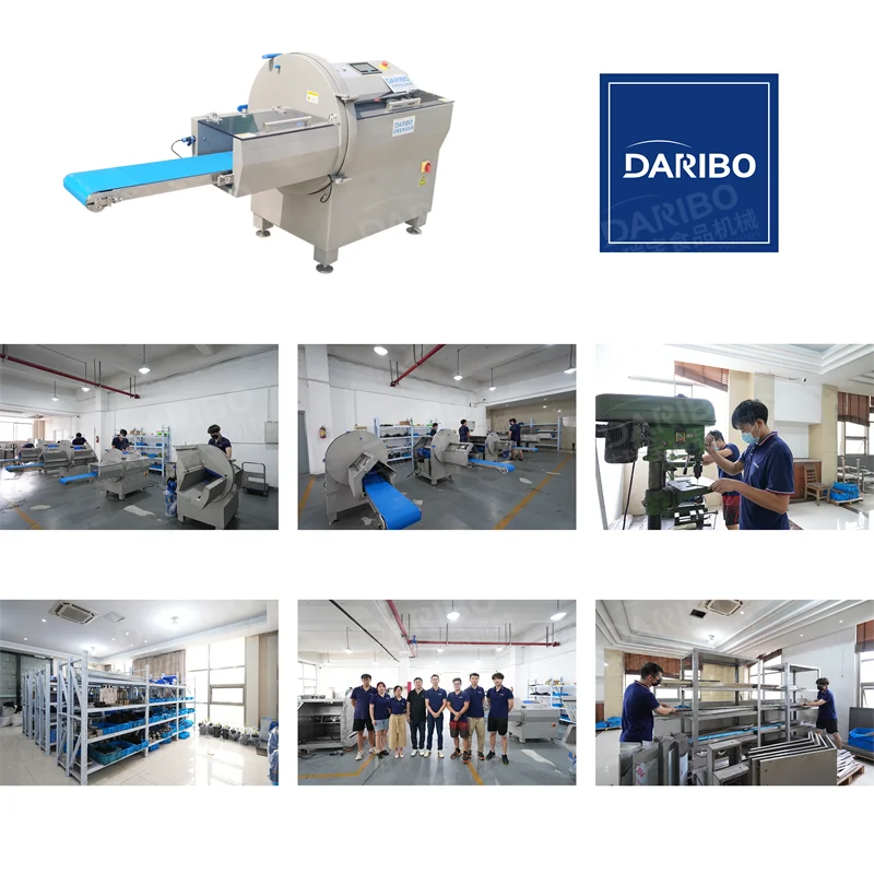 DRB-25K High Precision Frozen Meat Portion Cutting Machine for Factory Use Frozen Beef Sirloin Cutter Slices for Sale
