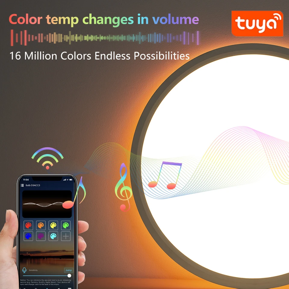 Tuya WiFi Voice Control 300mm 24W LED Ceiling Light Smart Modern Design PC Body White Shade Bedroom Living Room App PL Warehouse