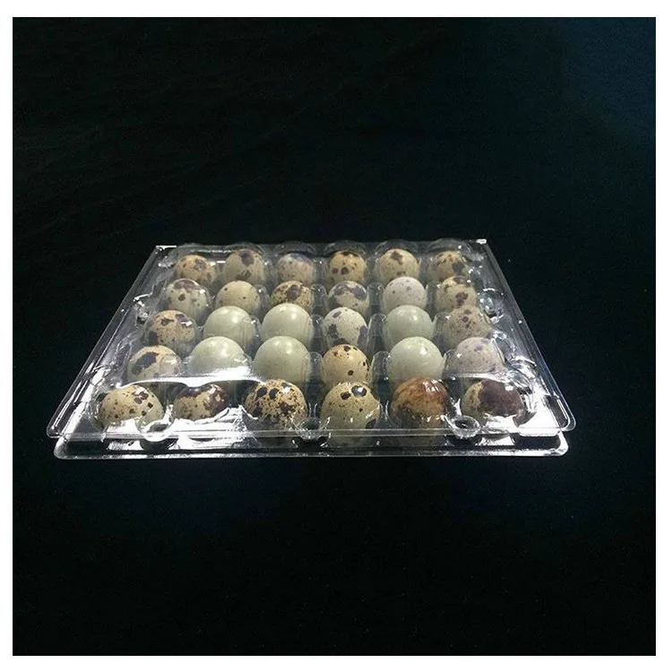 Customizable clear quail egg Cartons for farm use 30mm in diameter  With 12  24 30 Holes  plastic Quail Egg container