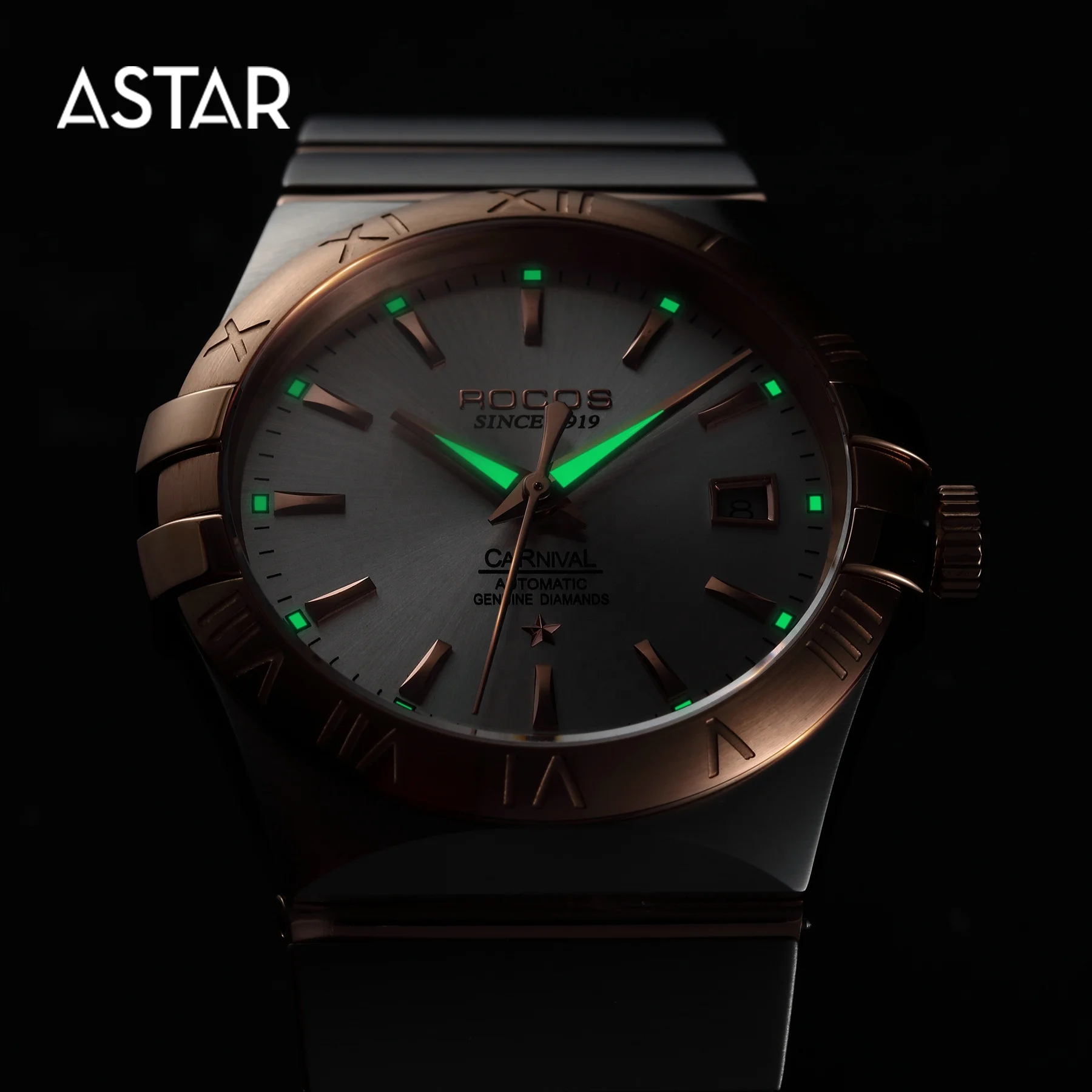 Dropship High Quality Sapphire 316L All Matt Stainless Steel Mechanical Automatic Transparent Caseback Watch Man for Sale