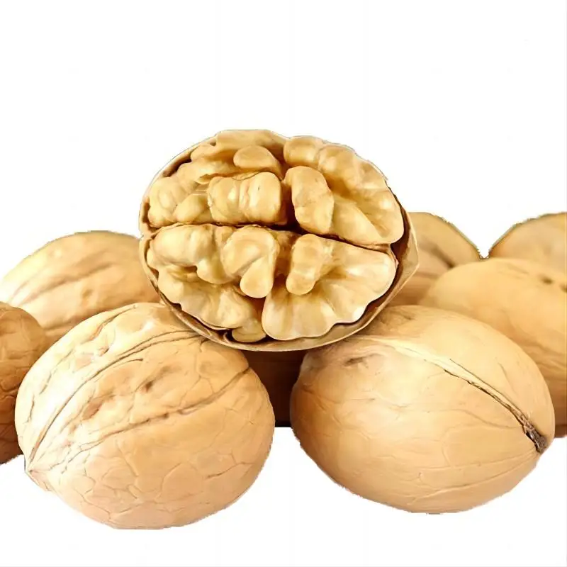 Best Quality Nuts Raw And Washed Xin 33 Walnuts In Shell Dried Style Raw Walnut From China Walnuts