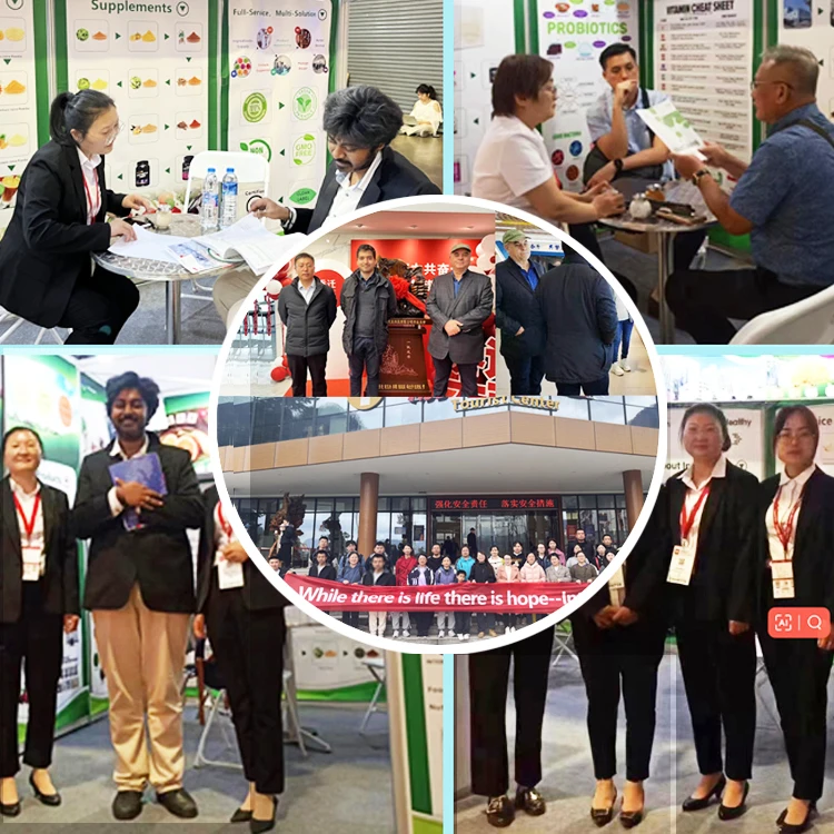 OEM Supplement Vitamin K2 MK7 Softgel gummies vegan Support Candy Food Supplement Vitamin B6 Kids Melatonin Gummy