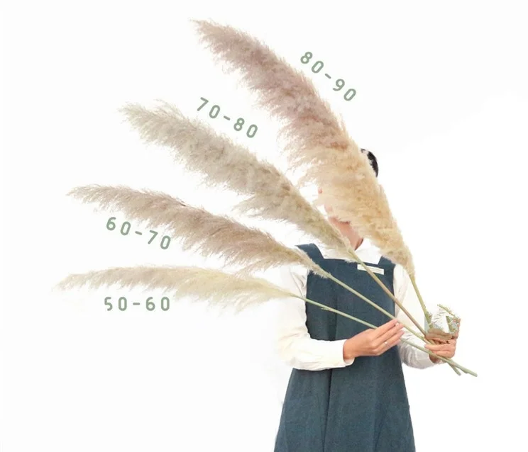 
Yunnan wholesale artificial flowers dry reed bouffant large spike reed wedding arch decoration 