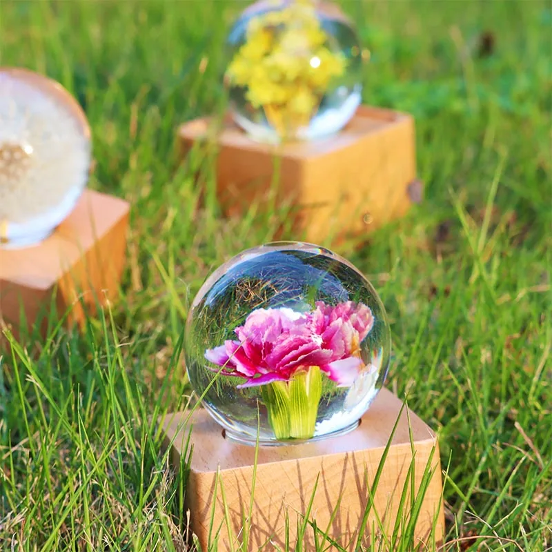 Unique Hot Item Novelty Gifts 2024 Trends New Years innovative Product Ideas Real Flower Night Light Holiday Festival Gift Sets