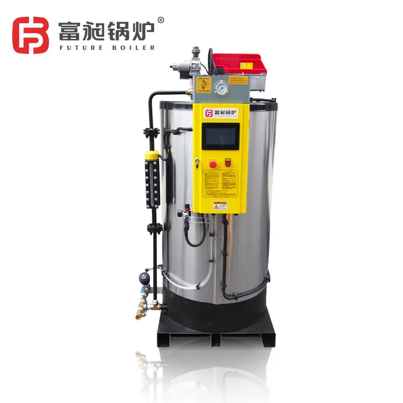 Gas and Oil-Fueled Steam Generator Boiler for disinfection treatment  & Hotel Industries