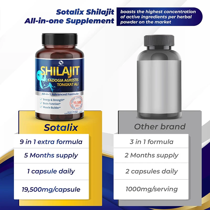 Private Labels Organic Shilajit Gummies Pure Himalayan Vitamins With Lions mane And L-theanine Super Nootropic Gummy