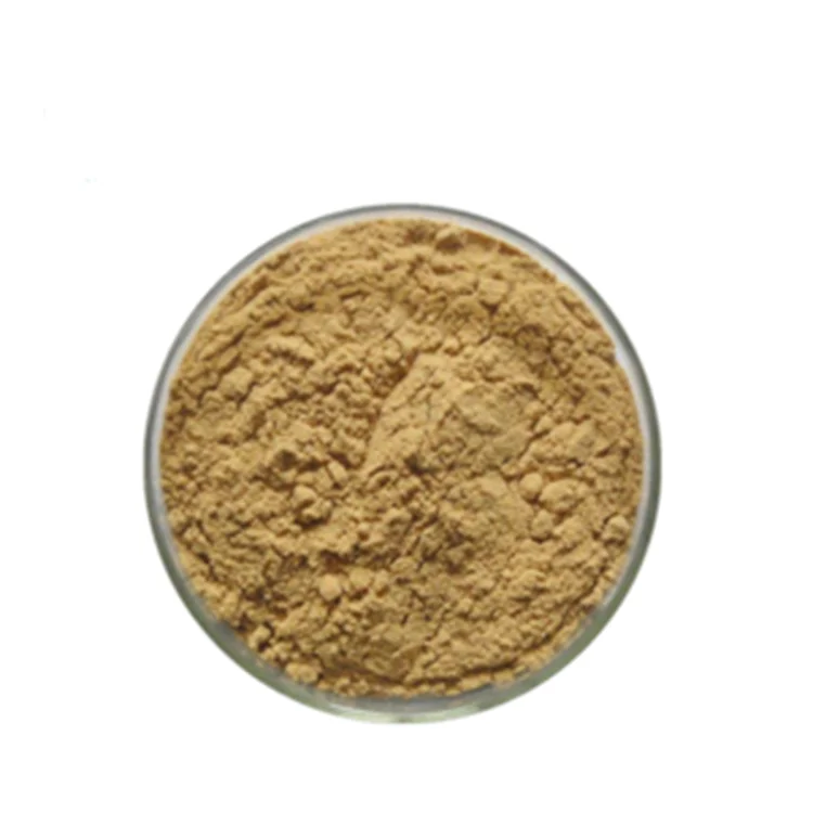 
Organic Herbal Supplement Natural Lions Mane Mushroom Extract Powder 
