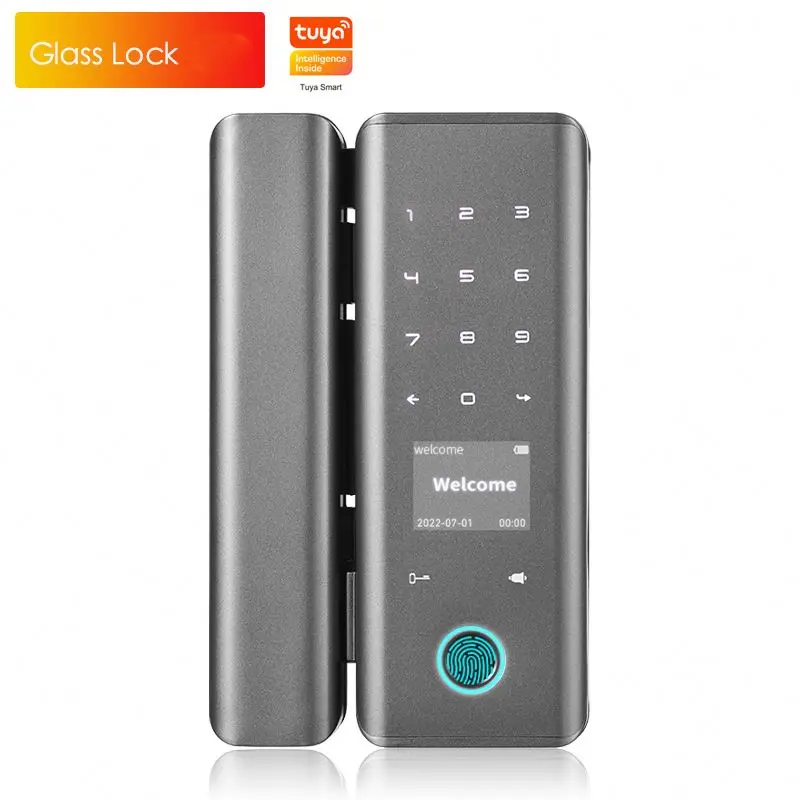Factory Price access wifi tuya lock electronic door locks for homes password app unlocking electronic smart door lock