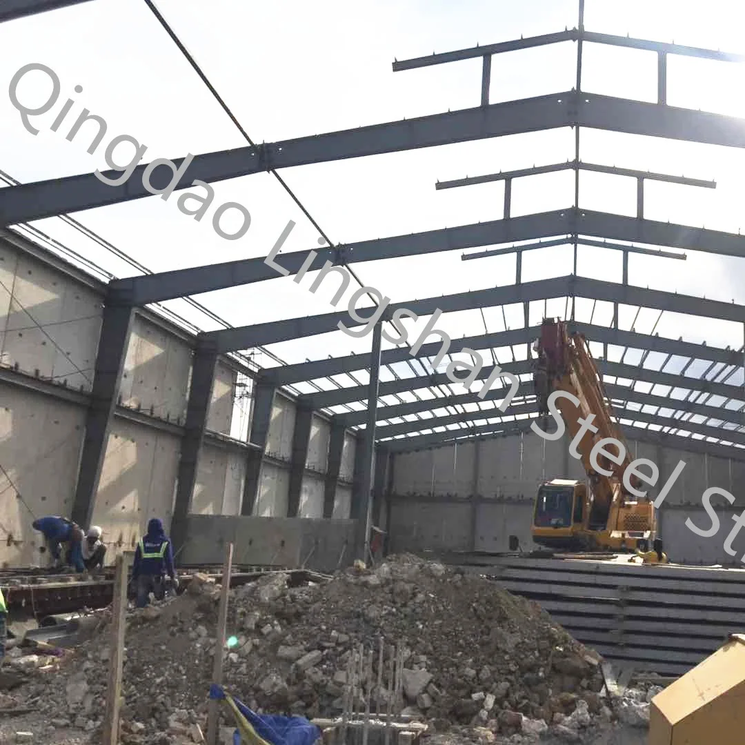 Multi-span Prefab High Rise Steel Structure Building Construction Factory Double Span Building With Column Size For Sale