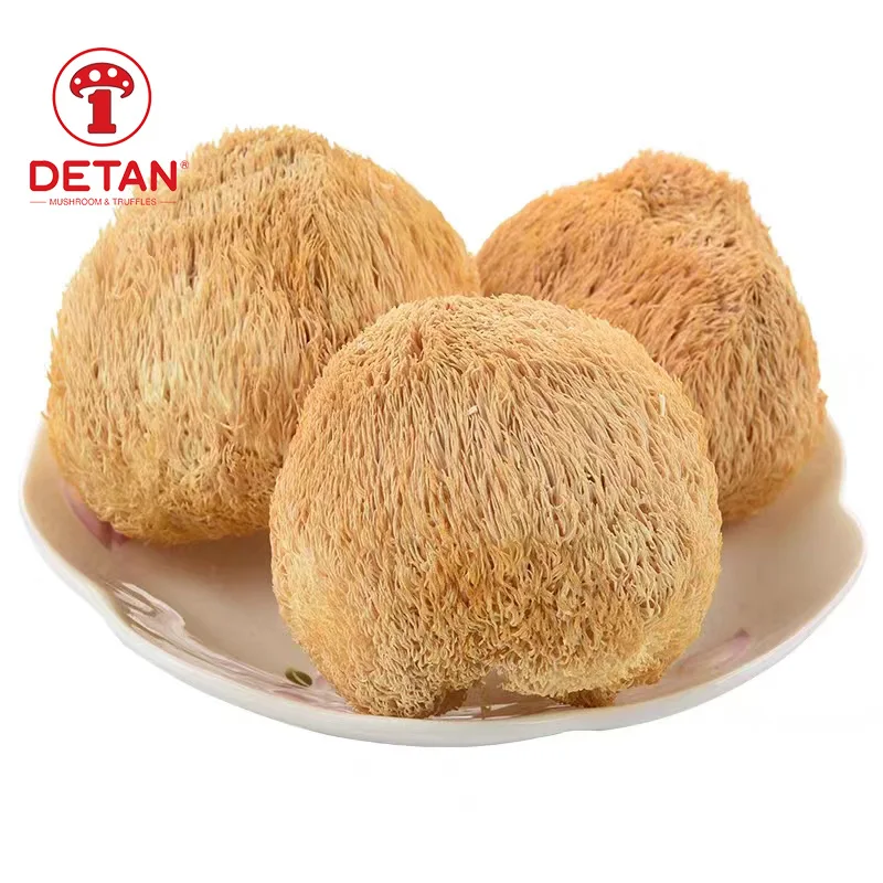 DETAN export dried organic lions mane