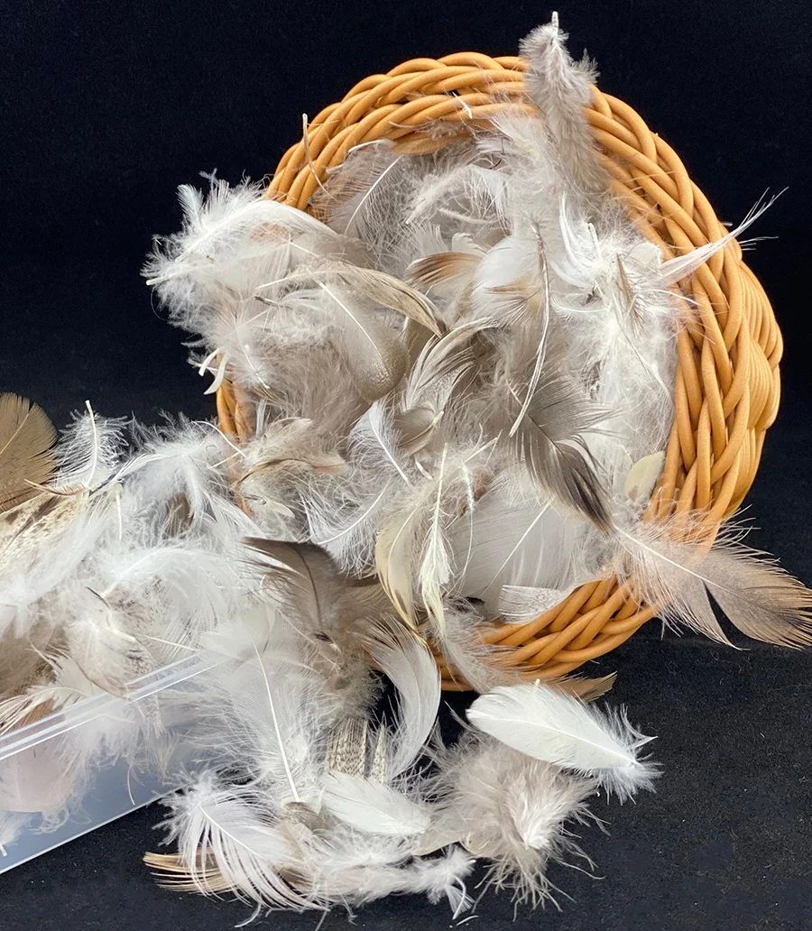 Manufacturers Direct Sales of 2-4CM  4-6CM 6-8CM Washed Gray Duck Feather