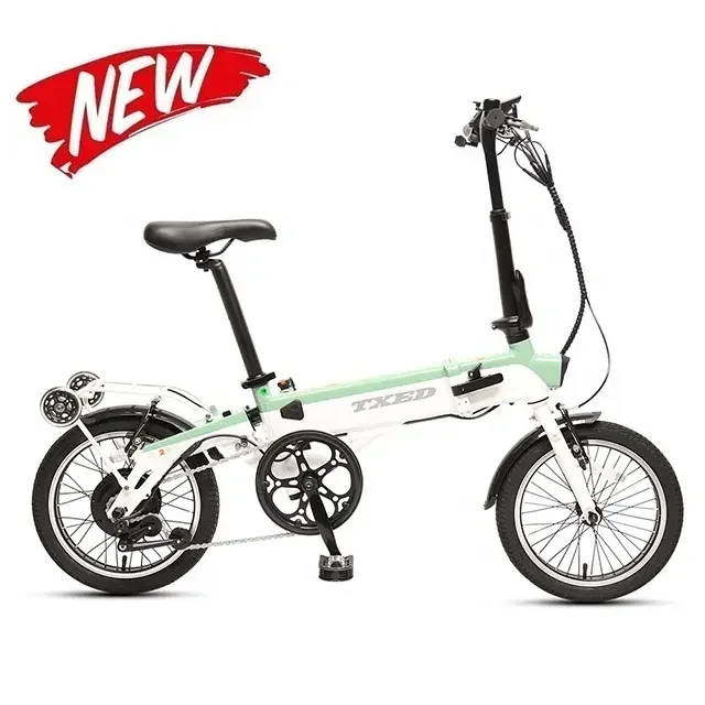 TXED 16 inch foldable electric bike 250W 36V/7.8Ah motor bicycle with color LCD display folding ebike with bag e city fold bike