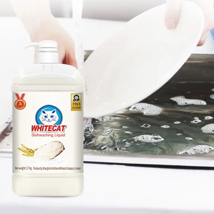 Dishwashing Liquid Dish Powder Special Washing Paste Dishwasher Tablets Detergent