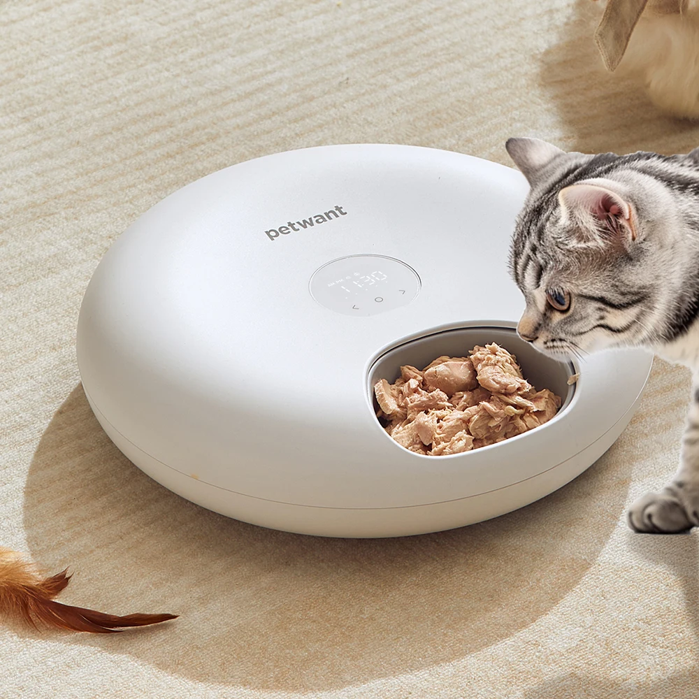 Petwant Smart LED Screen Automatic Timed Pet Bowls Feeder Eco-Friendly 6 Meals Waterproof Cats Small Animals Food Dispenser
