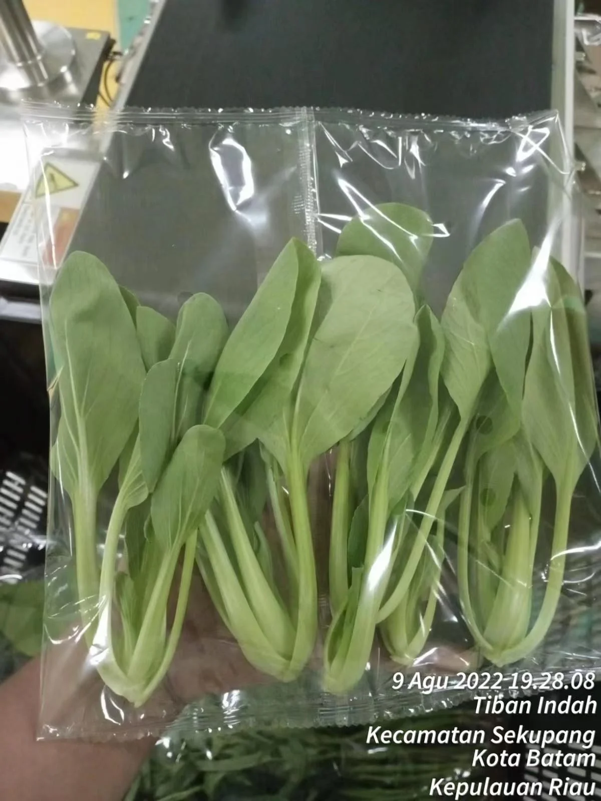 27 micron Plastic film roll bopp film for food packaging