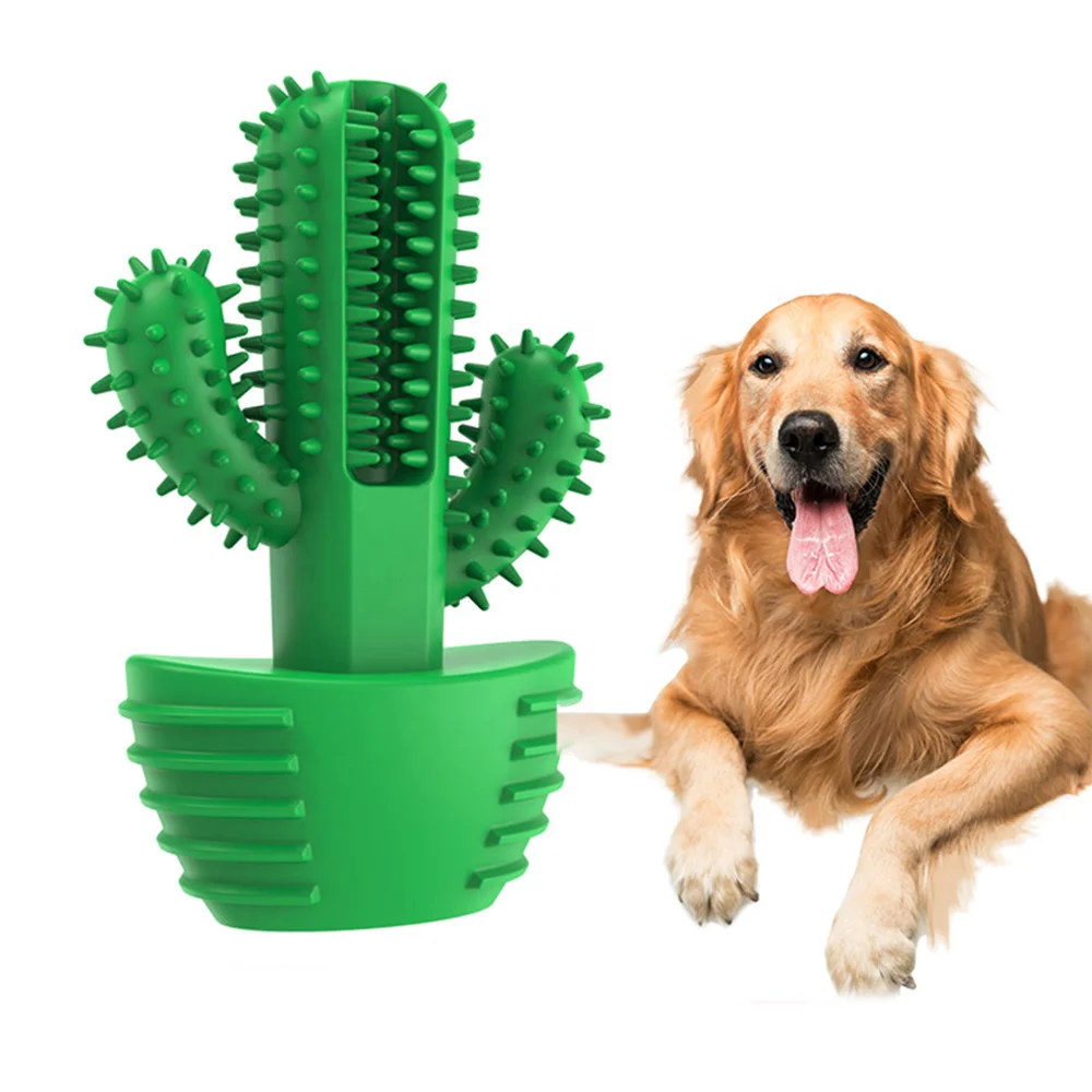 Hot Selling Cactus Design Pet gift set Chew Teething Rubber Low Price Promotion Toy Set for Aggressive Chewers