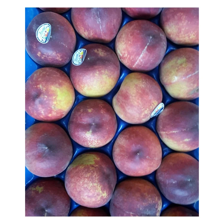 Italian Fresh Fruits Yellow Pulp Peach Fresh Yellow Peaches