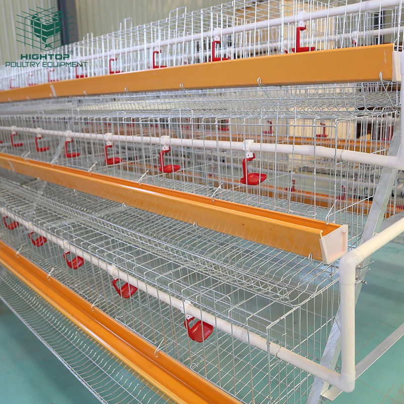 Hot Dip Galvanized a Type 3 Tier 4 Tiers Layer Chicken Egg Cage for Laying Sale in Rwanda