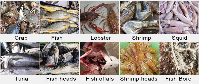Small Scale Steam Heating Tuna Fish Meal Feed Making Machine Tilapia Fishmeal Production Line Shrimp Powder Processing Plant