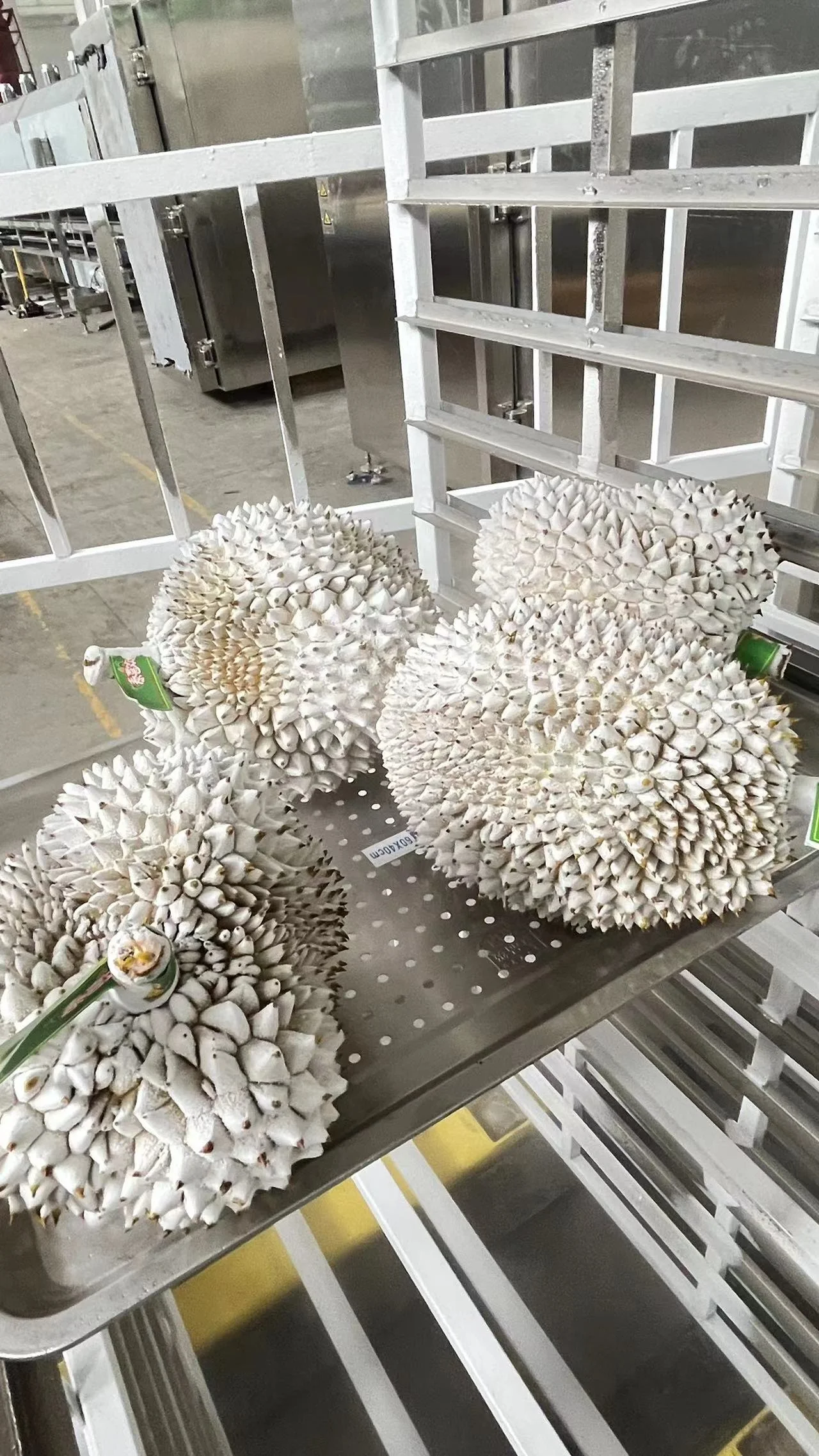 All Kinds Of Fish Fillet Shrimp Liquid Nitrogen Cabinet Freezer 600kg/h Double Door Seafood Freezer Fresh Quick-freezing Machine