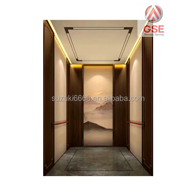 SUZUKI GSE Elevator Professional Manufacturer Economical Residential Commercial Passenger Elevator