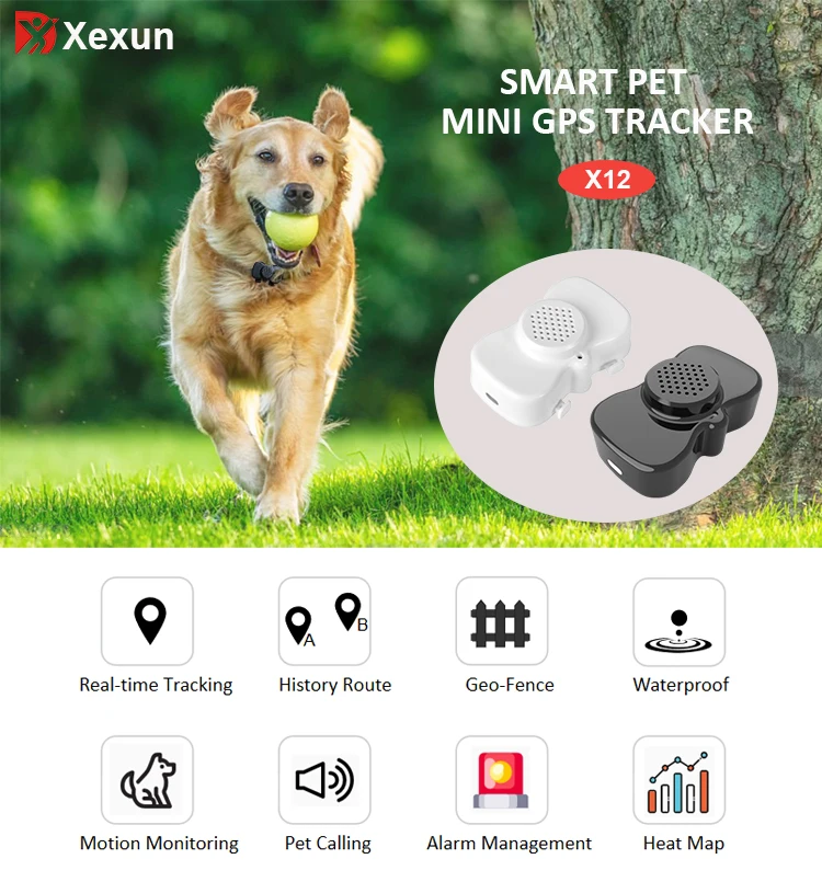 2025 New Oem Cat Dog Animal Mini Tracker Sleep Motion Tracking Device Health Monitor Wifi Bluetooth Gps Collar For Pet Outdoor