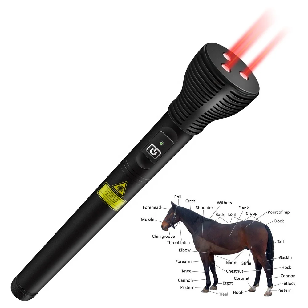 Physical Cold Laser Acupuncture Pen Device Class 4 Laser Machine For Neuropathic Pain Relief