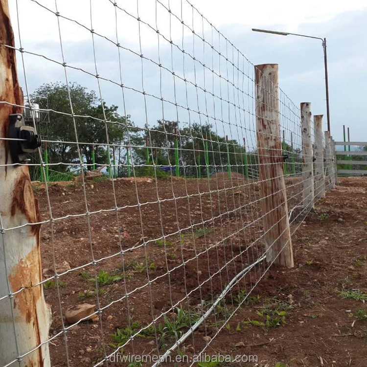 Factory Suppliers 7/90/30 200m roll Galvanized hinge Knot Wire Mesh Farm Fence for Deer Cattle Horse