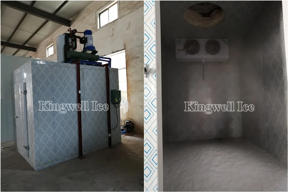 5 тонн, 10 тонн, сертификация CE, промышленная машина для производства льда, цена на продажу на рынке Африки