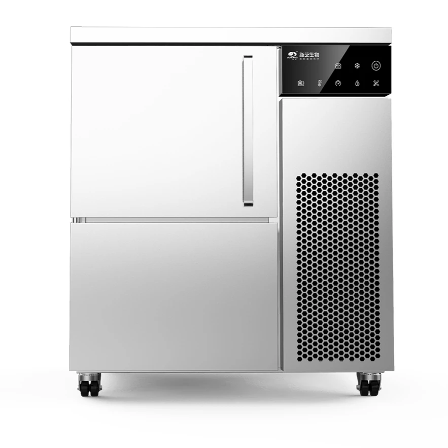 Automatic Ice Making Machine