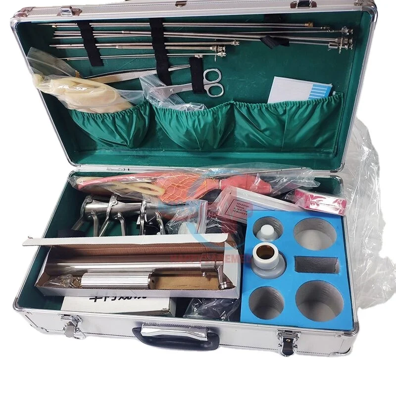 HC-R085 Big Animal Insemination Equipment Box Cattle Gun