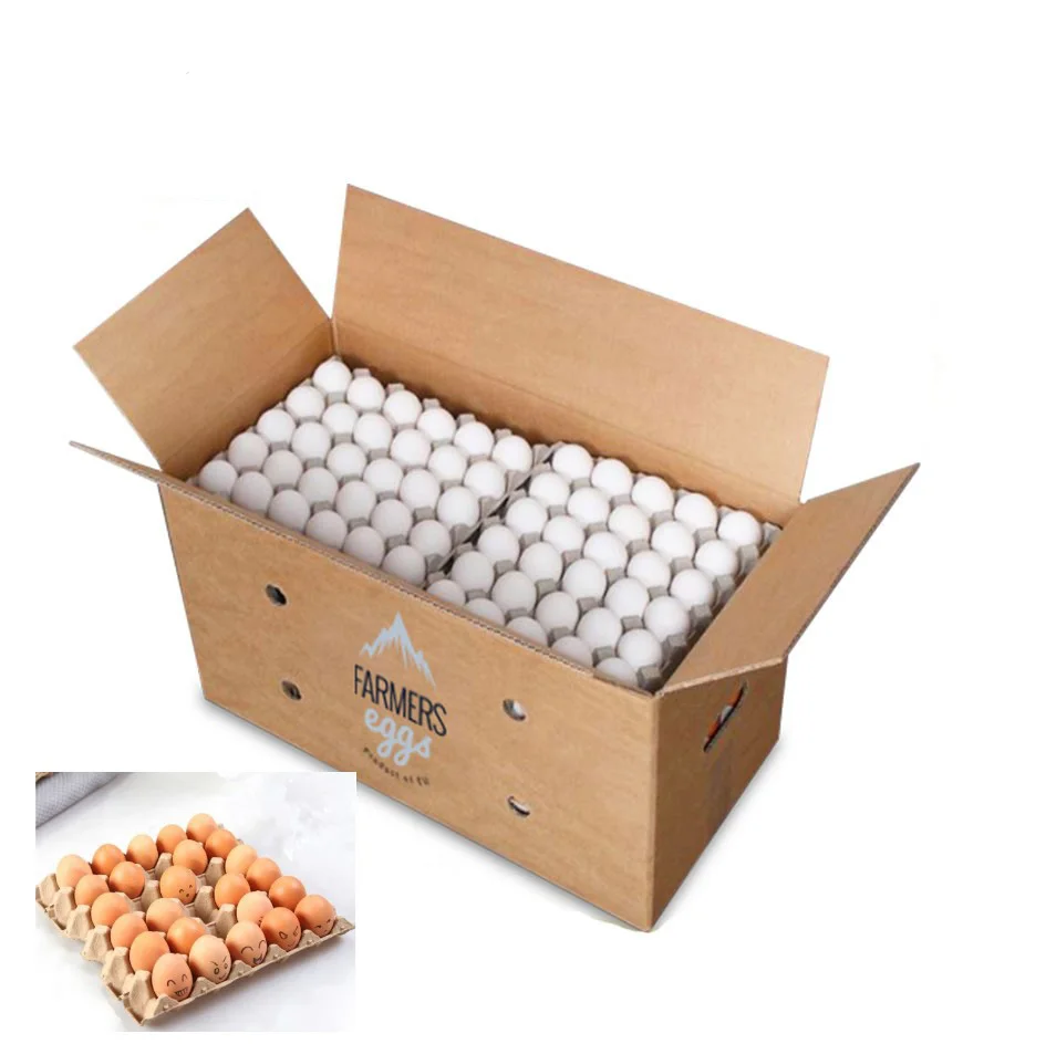 wholesale hot sale cheap customized  corrugated  carton egg packaging boxes with eggs tray