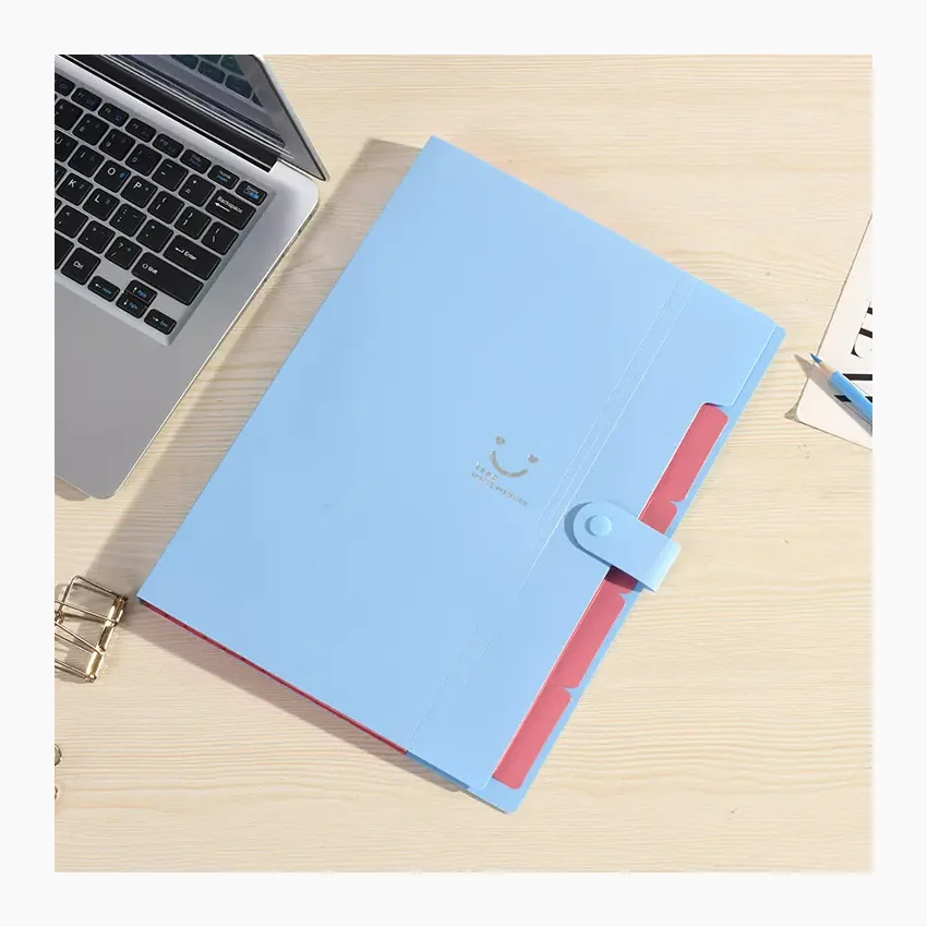 wholesale custom Price Cheap luxury high quality 5 Pocket cute style Expanding File Folder with Button Plastic Expandable File