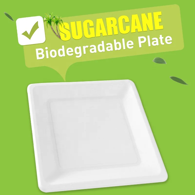 Wholesale Custom Logo Disposable Biodegradable Sugracane Bagasse fiber square diner plate cheap charger plates