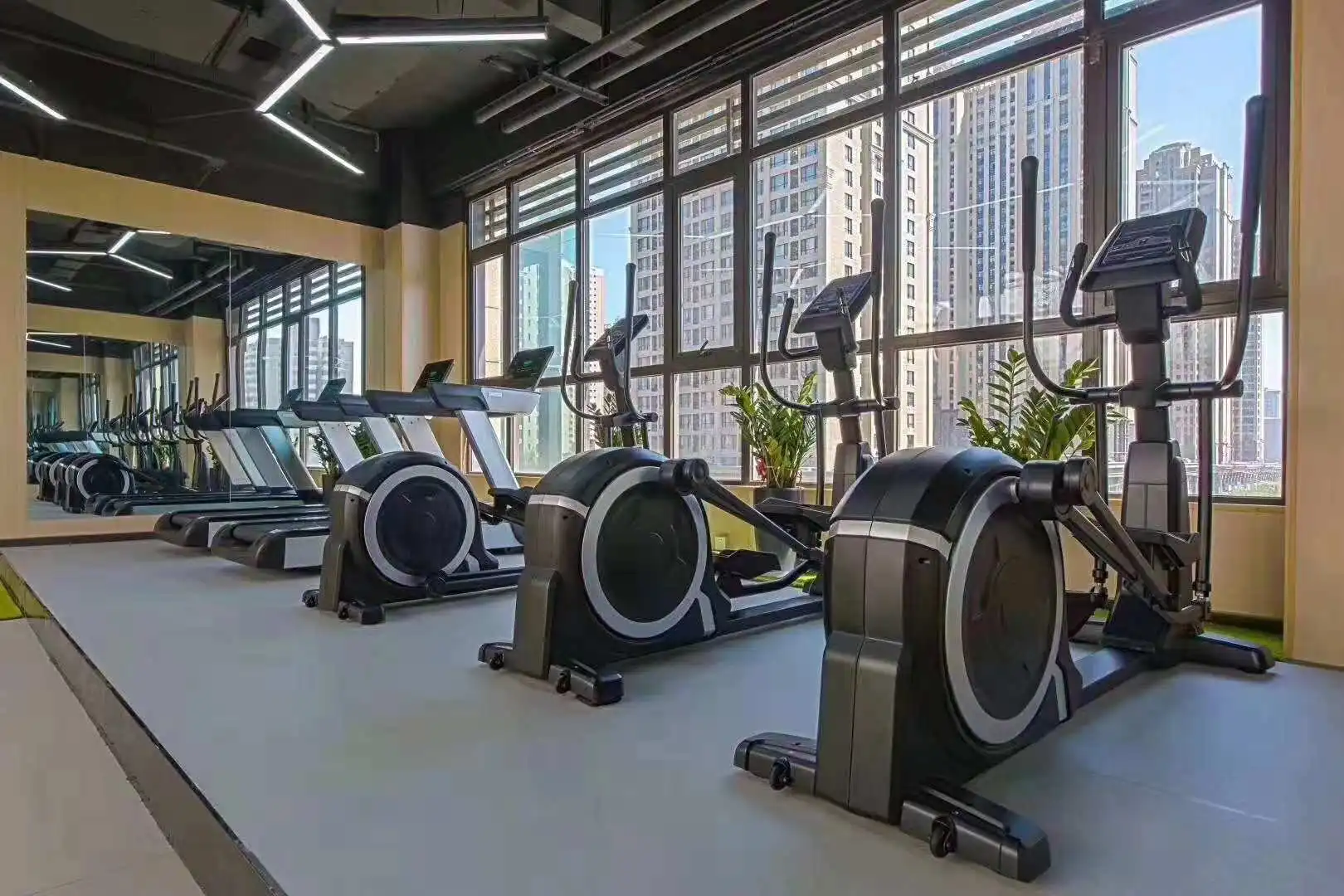 Commercial Gym Treadmills Elliptical Machine Stepper Aerobic Fitness Equipment