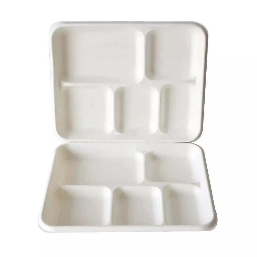 Wholesale Price Take Away Disposable Biodegradable Sugarcane Bagasse Rectangle Plate Small Cake 5 compartment Plate In Bulk