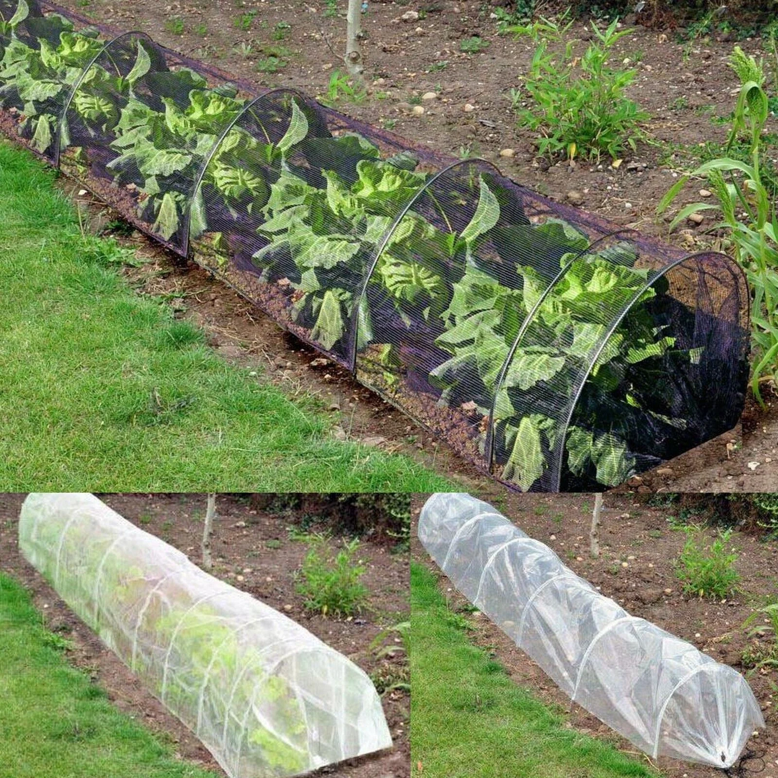 Low Hoop Tunnel Greenhouse for Season Extension and Winter Garden Long Grow Propagator Poly Fleece Netting Frost Greenhouse