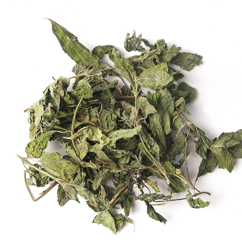 Wholesale High Quality Pure Natural Dried Peppermint Leaves Mint Leaf for Spices Food Seasoning Cooking