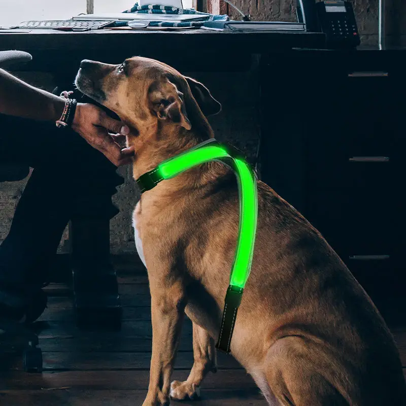 8 Colors Rechargeable LED Pet Collar Keep Your Dog Safe And Visible At Night With Flashing Lights Suitable For Medium Large Dog