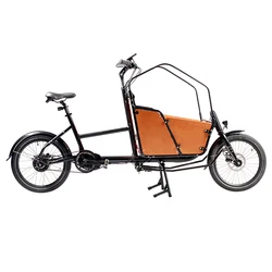 250w Bafang mid motor electric cargo bike tricycle/3 wheel electric bike cargo for family
