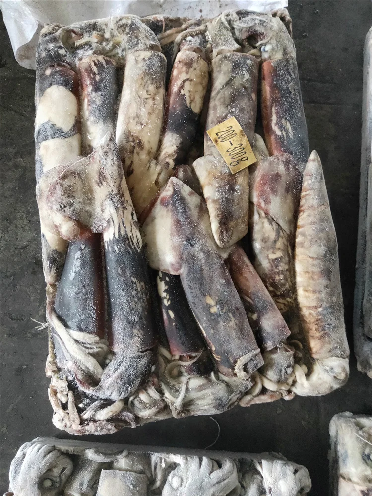 Тушки круглая кальмара Перу кальмар dosidicus gigas