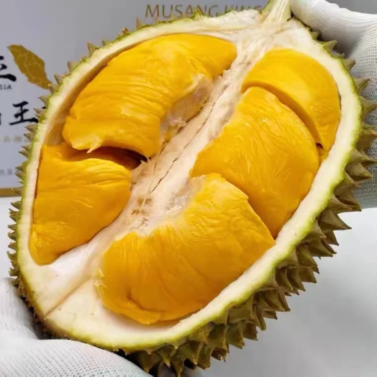 Food Grade Frozen Fruit Pulp 100% Natural Vacuum Packing Durian from Malaysia