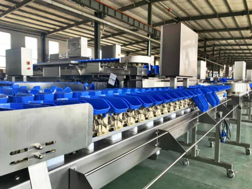 Factory directly supply crab shrimp seafood scale sorter weight grading machine for sale