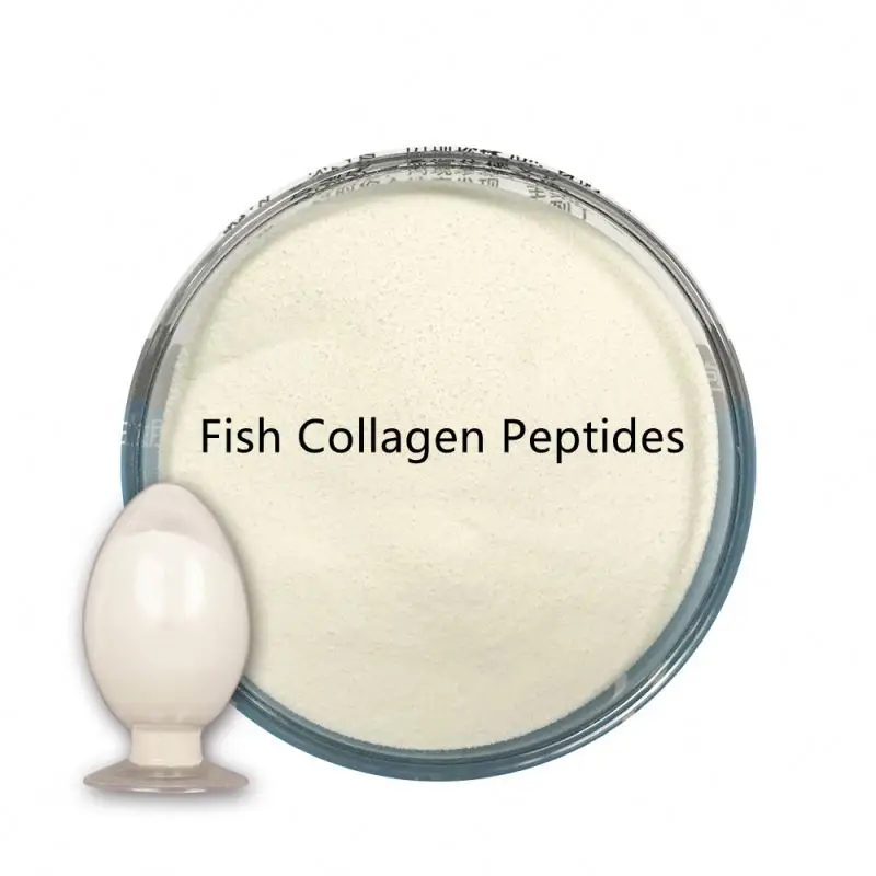 Super manufacturer Hydrolyzed Marine Collagen for Anti-Aging