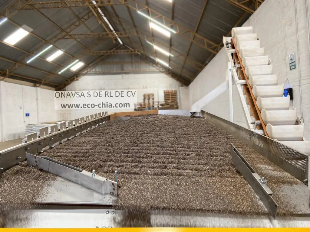 
High Quality 100% Natural Organic Black Chia Seed From Mexico For Wholesale 